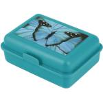 Baagl Butterfly 211025