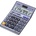 Casio MS 80 VER