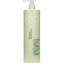 FreeLimix KYO Shampoo ENERGYSYSTEM 1000 ml