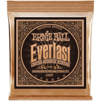 Ernie Ball 2560