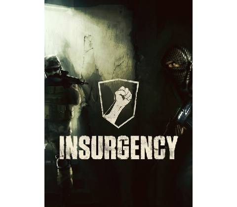 Insurgency