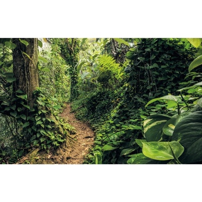 Komar Vliesová fototapeta Path of Dreams rozměry 400 x 250 cm