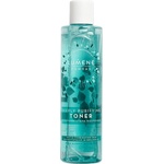Lumene Puhdas Почистващ и матиращ тоник за лице, 200 ml