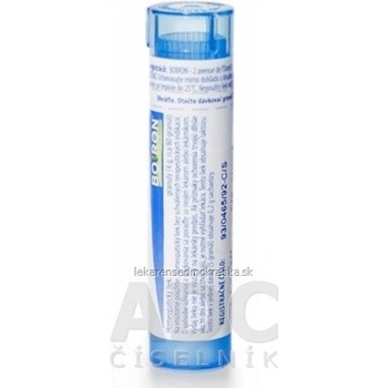 Solanum Malacoxylon gra.1 x 4 g 9CH