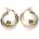 Pattic bicolor ARP176404