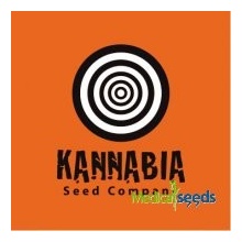 Kannabia Seeds Swiss Dream Rose CBD AUTO do 0,3% THC 5 ks