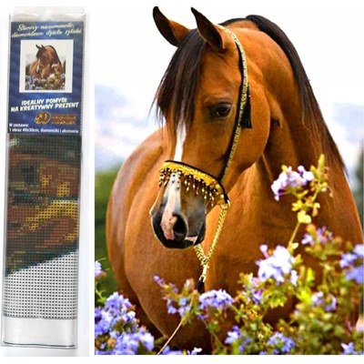 Norimpex - Puzzle Diamant painting: Horse tenderness 30x40cm - 1 - 39 piese