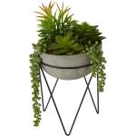 Premier Housewares Изкуствен сукулент (височина 36 см) Fiori - Premier Housewares (2907049)