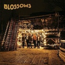 BLOSSOMS: BLOSSOMS LP