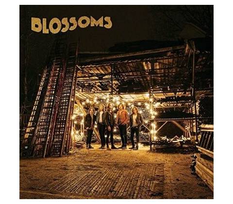 BLOSSOMS: BLOSSOMS LP