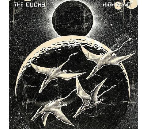 Ducks: High Flyin - Ducks