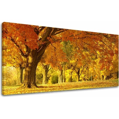 Obraz na stěnu PANORAMA STROMY - 70x140 cm