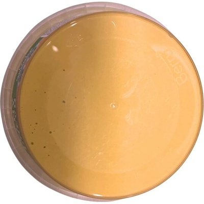 Debbex 00504RL Brousitelný tmel na dřevo 250 g borovice