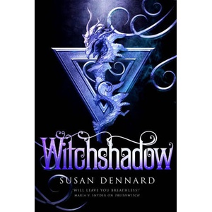 Witchshadow (ISBN: 9781529030334)