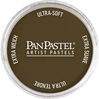 Panpastel 9 ml 780.5 raw umber