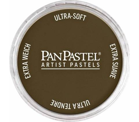 Panpastel 9 ml 780.5 raw umber