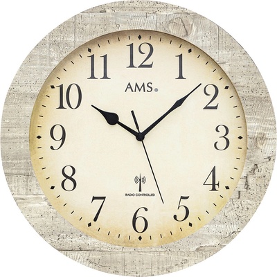AMS 5561