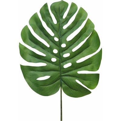 Monstera list Futura zelený 90 cm