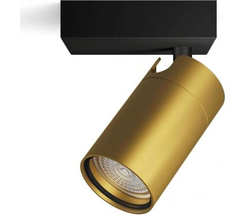 Philips P6139