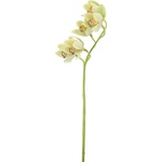 Bizzotto ИЗКУСТВЕНА КЛОНКА cymbidium dyan 66cm З (0170688)