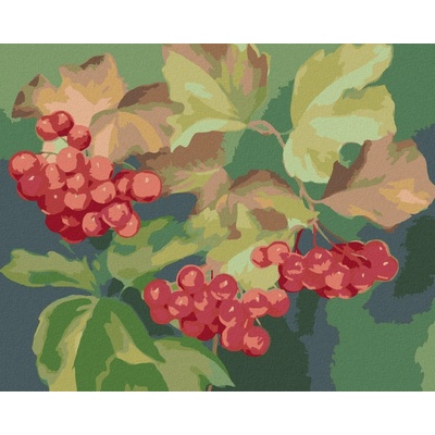 Zuty Malování Podle Čísel Červený Rybíz Myroslava Voloschuk 80 x 100 cm Plátno Rám