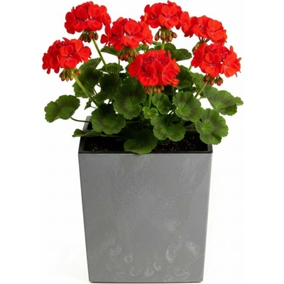 HowHomely PLASTOVÝ KVĚTINÁČ FLORE 30,5X29,5X29,5 CM IMITACE BETONU ŠEDÁ