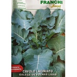 FRANCHI Кейл с Гладки листа Galega De Folhas Lisas