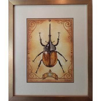 Картина с бръмбър Херкулес