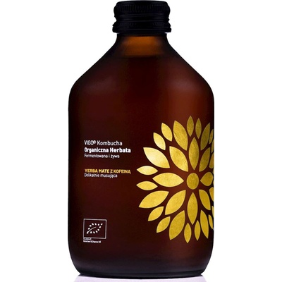 Vigo bio kombucha Yerba Maté 330 ml
