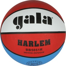 Gala Harlem