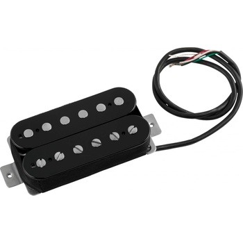 EVH Frankenstein Plus