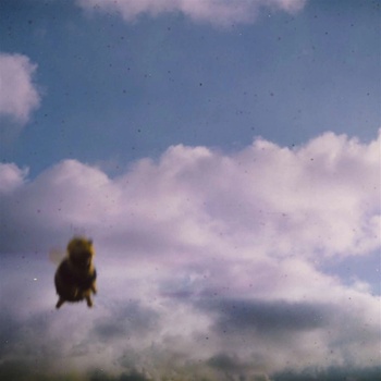 POND - STUNG! (1CD)