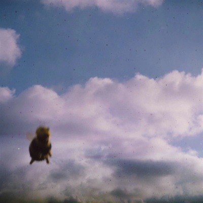 POND - STUNG! (1CD)