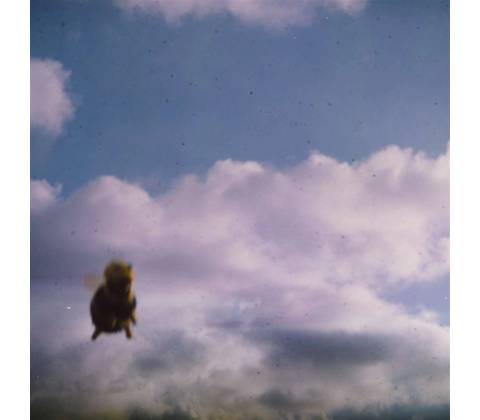 POND - STUNG! (1CD)