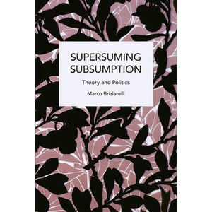Supersuming Subsumption: Theory and Politics | Marco Briziarelli (ISBN: 9798888903605)