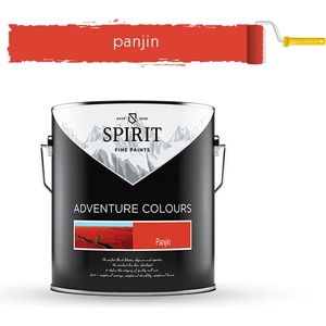 SPIRIT БОЯ ИНТЕРИОРНА spirit ac 2.5л panjin (20-101107)