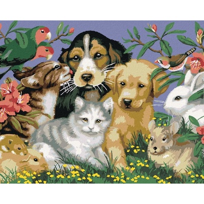 Zuty Maľovanie podľa čísel DOMÁCE ZVIERATÁ V PRÍRODE HOWARD ROBINSON