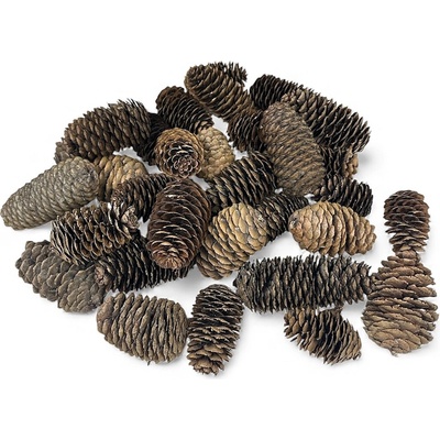 Sušené šišky Jedľa - čínska 4-7cm 250g - prírodné