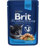 Brit Premium Cat Pouches Chicken Chunks for Kitten- Пауч за котка 100гр