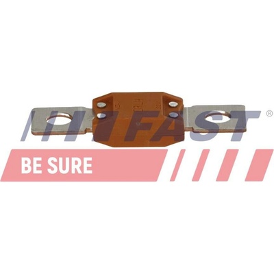 Pojistka FAST FT12483