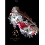 Radi handmade Диадема с червени и бели цветя и бежави треви (880)