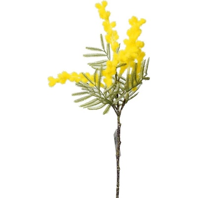 KS ACACIA ŽLTÁ 36CM