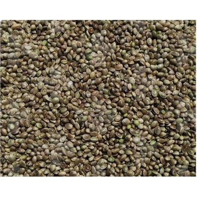 Versele-Laga Semenec 20 kg