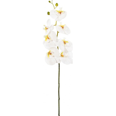 Orchidej (phalaenopsis) (x8) bílá v58 cm (FB206601108)