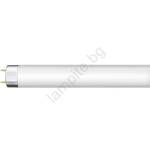 NBB Флуоресцентна тръба G13/36W/230V 120 cm (N108132)