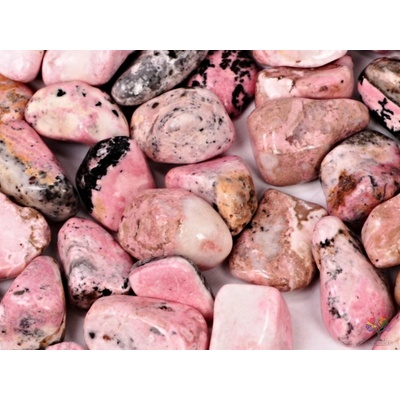 Magieprirody Tromlovaný kámen Rodonit L velikost 25-40 mm Peru 100 g