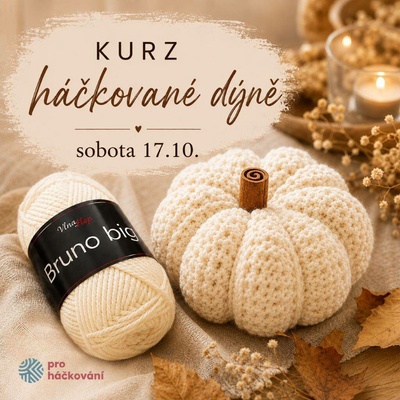 Pro Háčkování Kurz háčkované dýně