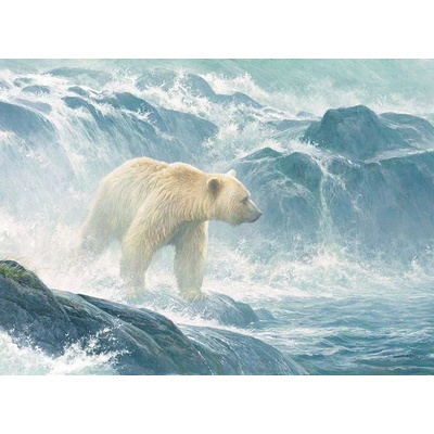 Cobble Hill - Puzzle Salmon Watch - Spirit Bear 500 - 500 piese