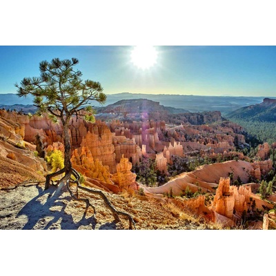 DIMEX ART Флизелинов фототапет каньонът на национален парк брайс 375 x 250 см