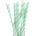 Horecano BARWARE-Хартиени сламки Ø1.2x26cm Bubble Tee МЕНТА-50бр (HC-37235)(210419-3) (0137235)
